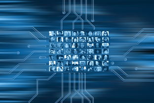 开云体育官网下载-NBA球队市场营销数字化转型实践探索，nba营销模式